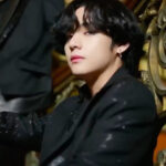 BTS(防弾少年団)テテが飼ってるポメラニアンの名前はヨンタン!保護犬で過去には手術も?