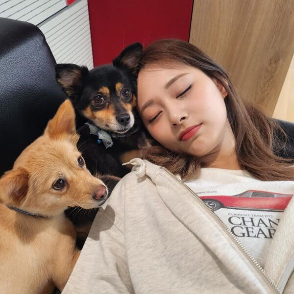 TWICEツウィが可愛い！インスタや年齢・誕生日などについても紹介！