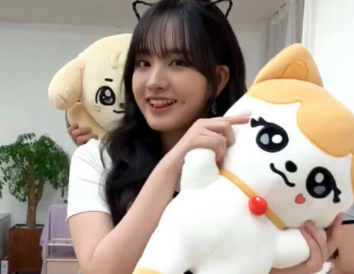 IVE(アイヴ)のリズを動物に例えるなら猫！そんな彼女の性格や行動についてまとめてみる！