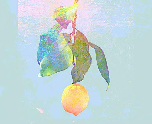 米津玄師のlemonが再生回数記録を更新！名前の意味や祖父との関係について！