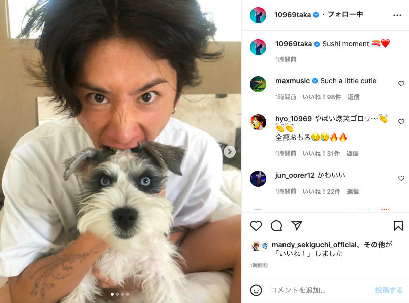 ONE OK ROCK(ワンオク)のTakaが飼っている愛犬はsushiちゃん！種類やエピソードが知りたい！
