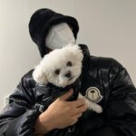 SEVENTEEN(セブチ)ミンギュが飼っている犬の名前はパップル?犬種も含めて教えちゃいます!