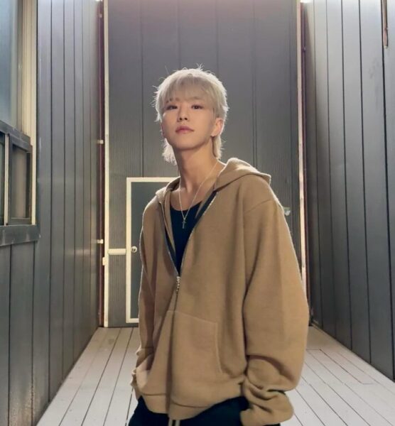 SEVENTEEN(セブチ)ホシの口癖ホランヘってどんな意味？ソロ曲ホランイとの関係性は？