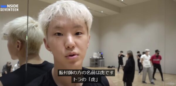 SEVENTEEN(セブチ)ホシの口癖ホランヘってどんな意味？ソロ曲ホランイとの関係性は？