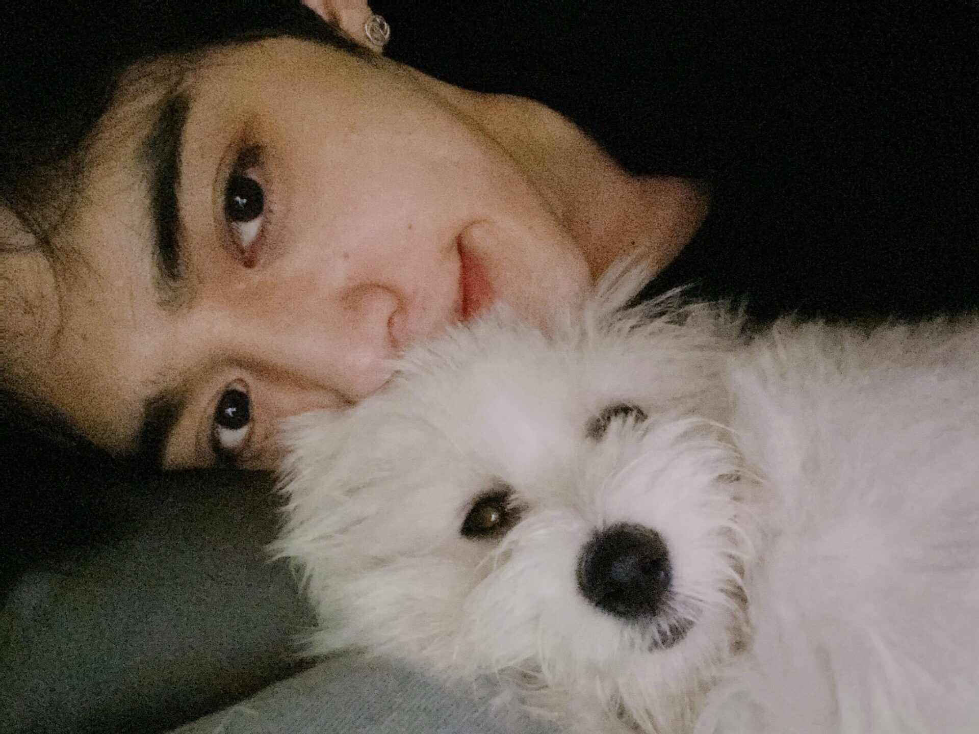 SEVENTEEN(セブチ)のエスクプスが飼っているクマって？犬種、インスタも紹介！