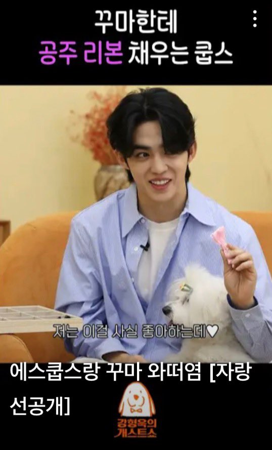 SEVENTEEN(セブチ)のエスクプスが飼っているクマって？犬種、インスタも紹介！