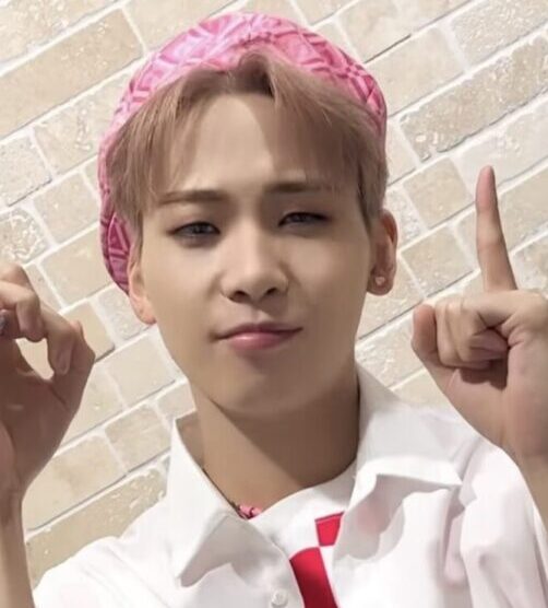 JO1川尻蓮のダンスが凄い!バックダンサーとしてbtsやセブチとも共演!