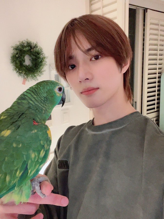 TOMORROW X TOGETHER(TXT)のボムギュには兄がいる?父親はカーレーサー?家族構成を調べました!