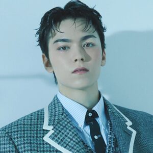 セブチ　バーノン　まとめ売り SEVENTEEN HAPPY BURSTDAY バーノン まとめ売り - メルカリ