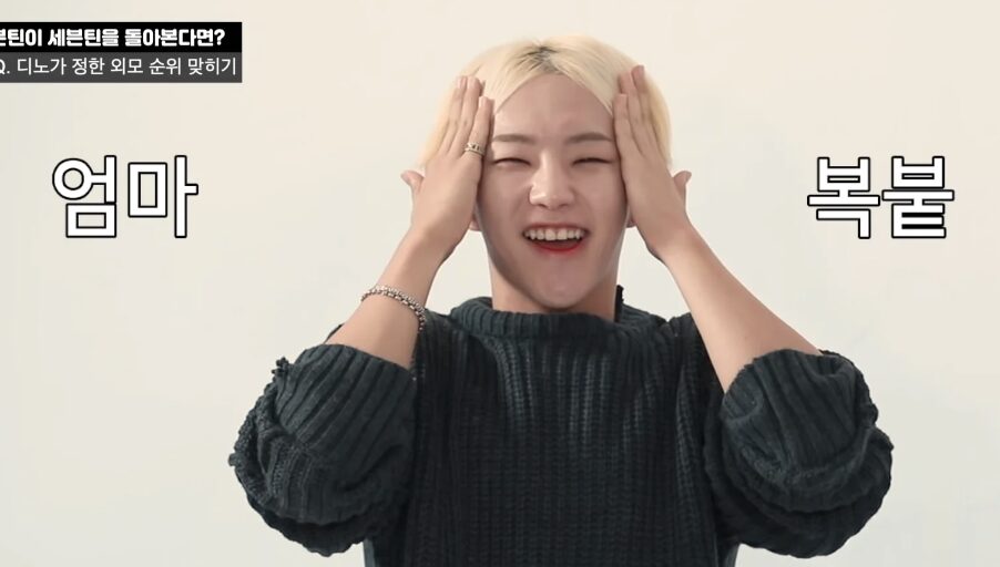 SEVENTEEN(セブチ)ホシのお姉ちゃんが双子レベルでそっくり?!家族について紹介します!