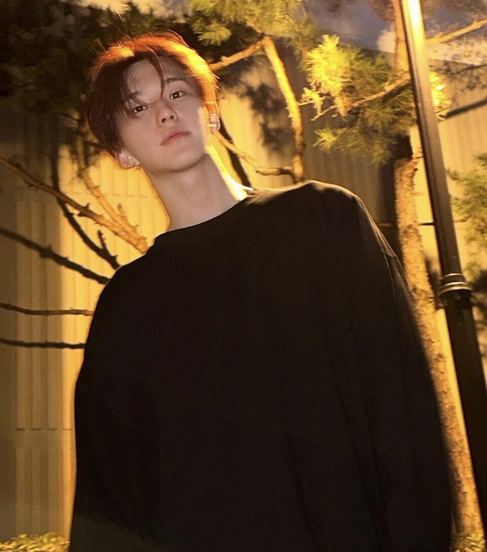 SEVENTEEN(セブチ)ホシのお姉ちゃんが双子レベルでそっくり?!家族について紹介します!