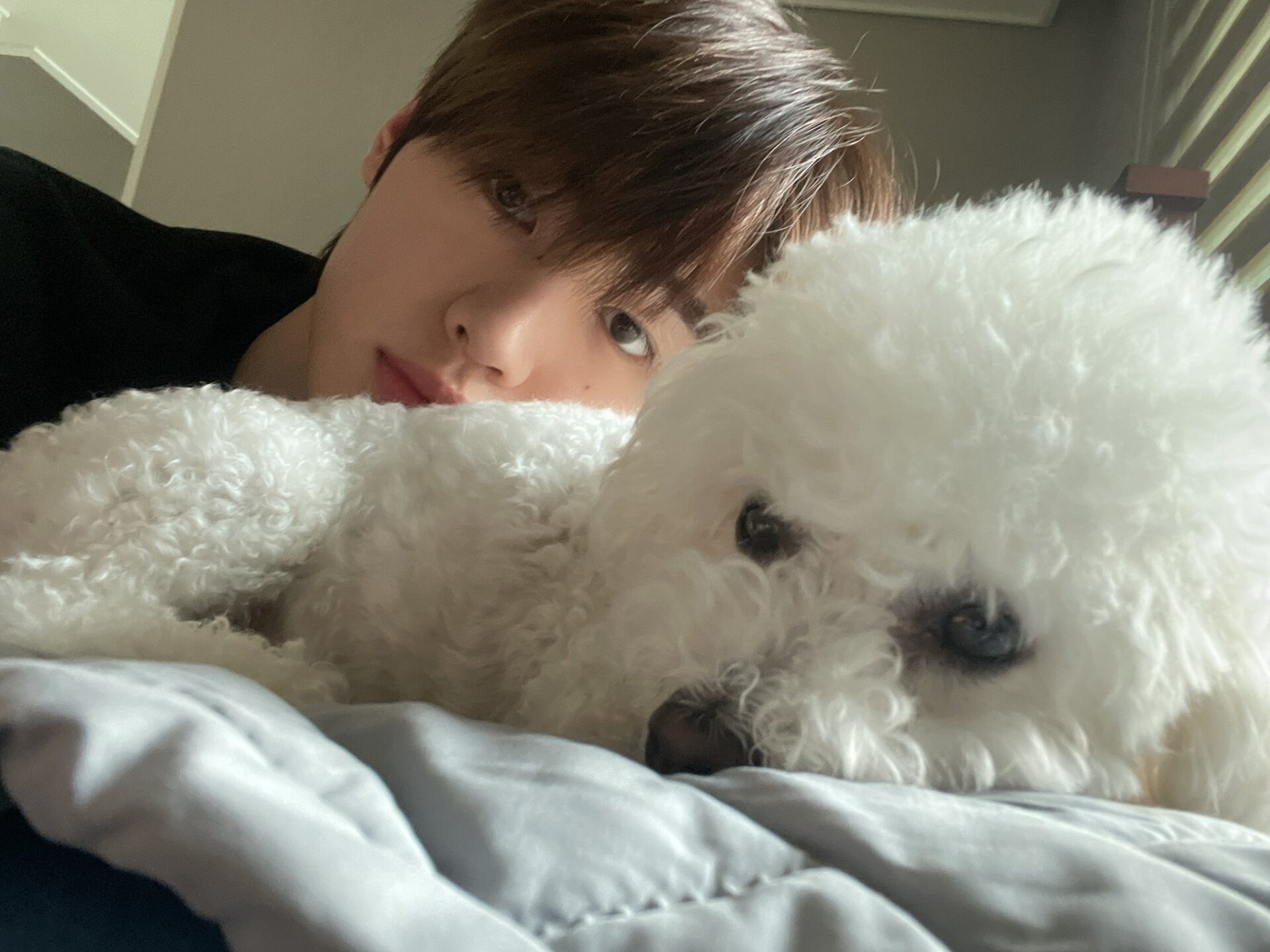 ENHYPEN(エンハイフン)のソンフンが飼っている愛犬の名前はカウル！誕生日や種類など調査してみた！