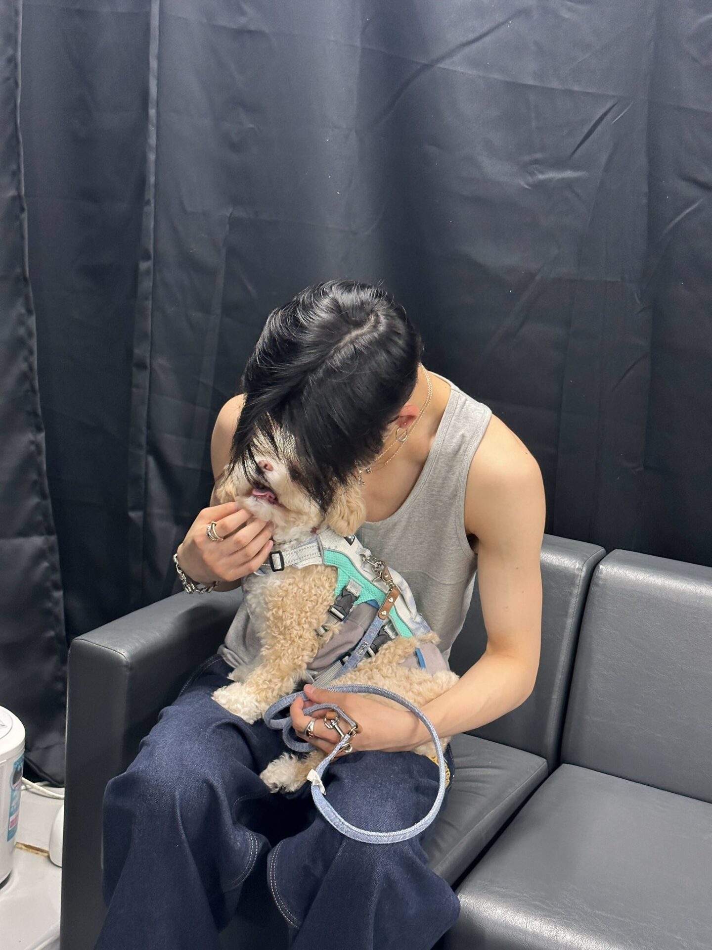 ENHYPEN(エンハイフン)のソンフンが飼っている愛犬の名前はカウル！誕生日や種類など調査してみた！