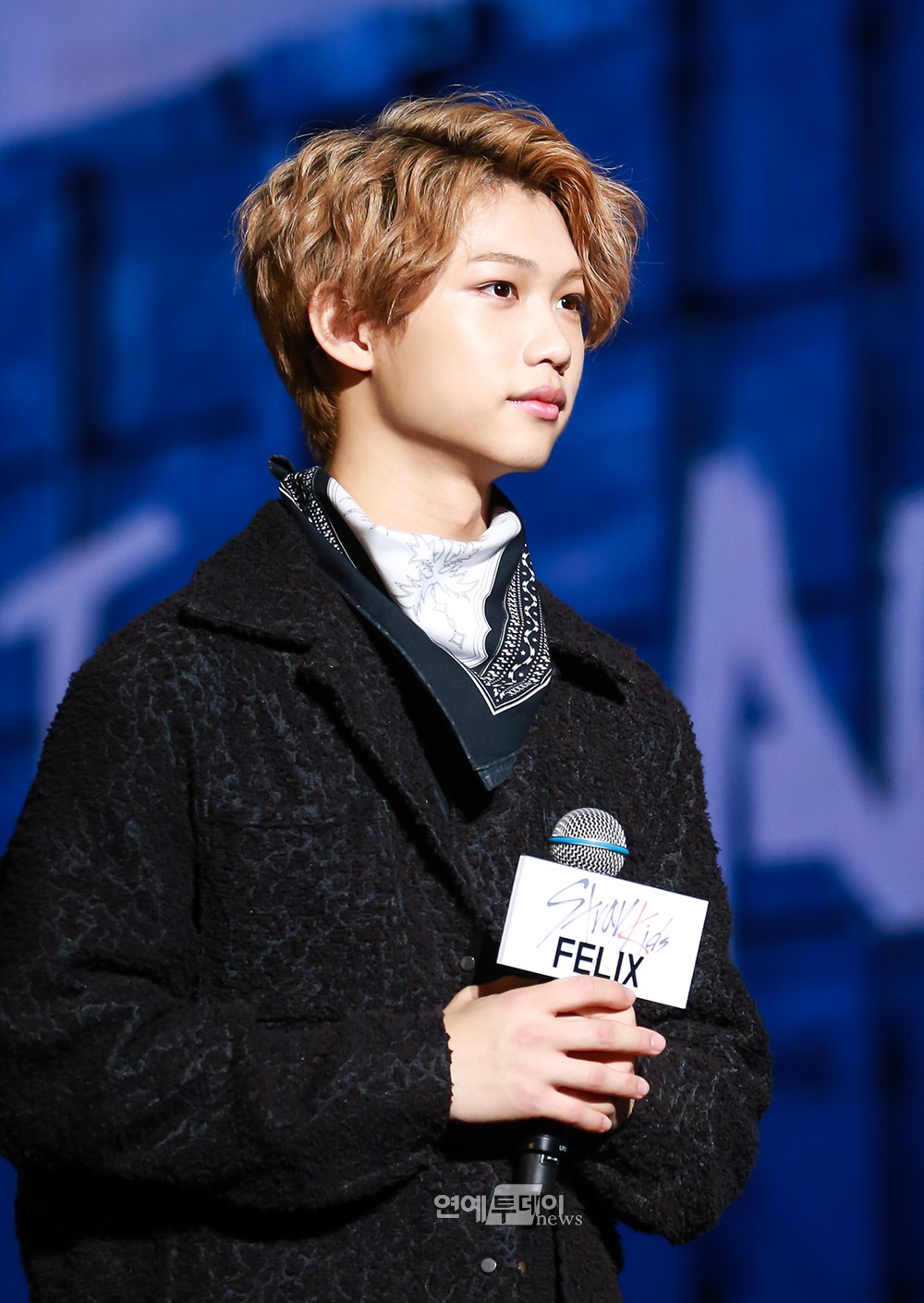 Stray Kids(スキズ)フィリックスが一度脱落したのは韓国語のせい？リノと一緒に復活できた経緯も！