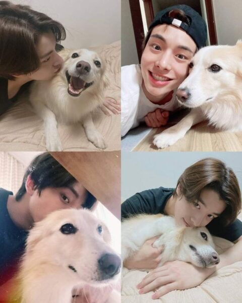 ENHYPEN(エンハイフン)のソンフンが飼っている愛犬の名前はカウル！誕生日や種類など調査してみた！