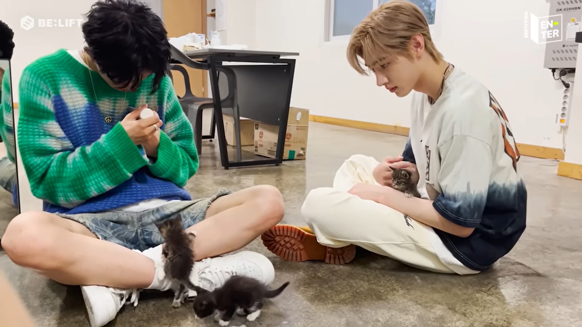 ENHYPEN(エンハイフン)のソンフンが飼っている愛犬の名前はカウル！誕生日や種類など調査してみた！