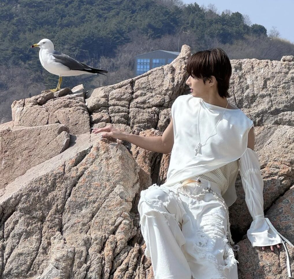 SEVENTEEN(セブチ)のジュンは天然かわいいと人気！優しい印象がファンにも好評！