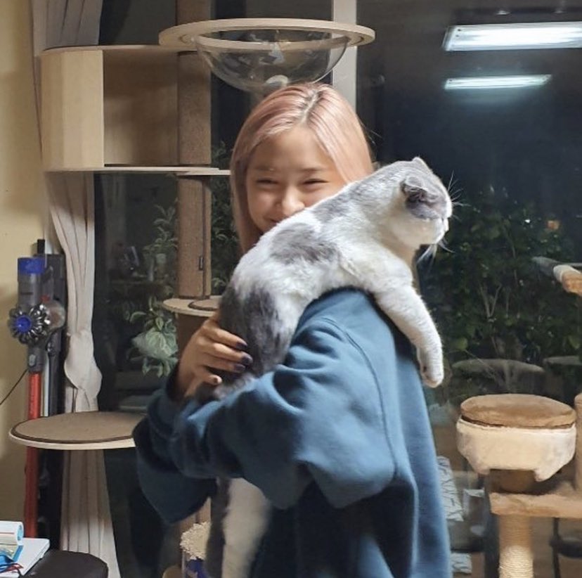 ITZYのリュジンにハーフの噂?両親や兄の経歴やエピソードなどを紹介します!