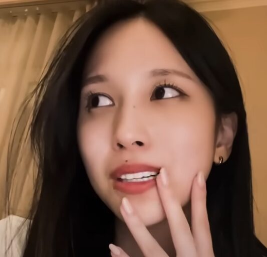 TWICEのミナが活動休止した本当の理由は？休止期間のエピソードに感動！