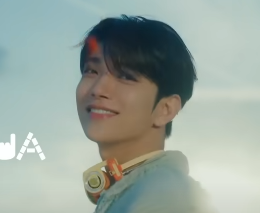 SEVENTEEN(セブチ)のメンバーを人気順に紹介！人気格差はある！？