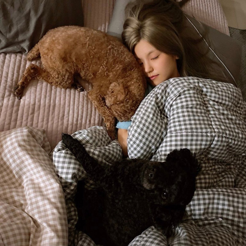 Stray Kidsのヒョンジンとイェジ は兄弟？どのくらい仲良し？