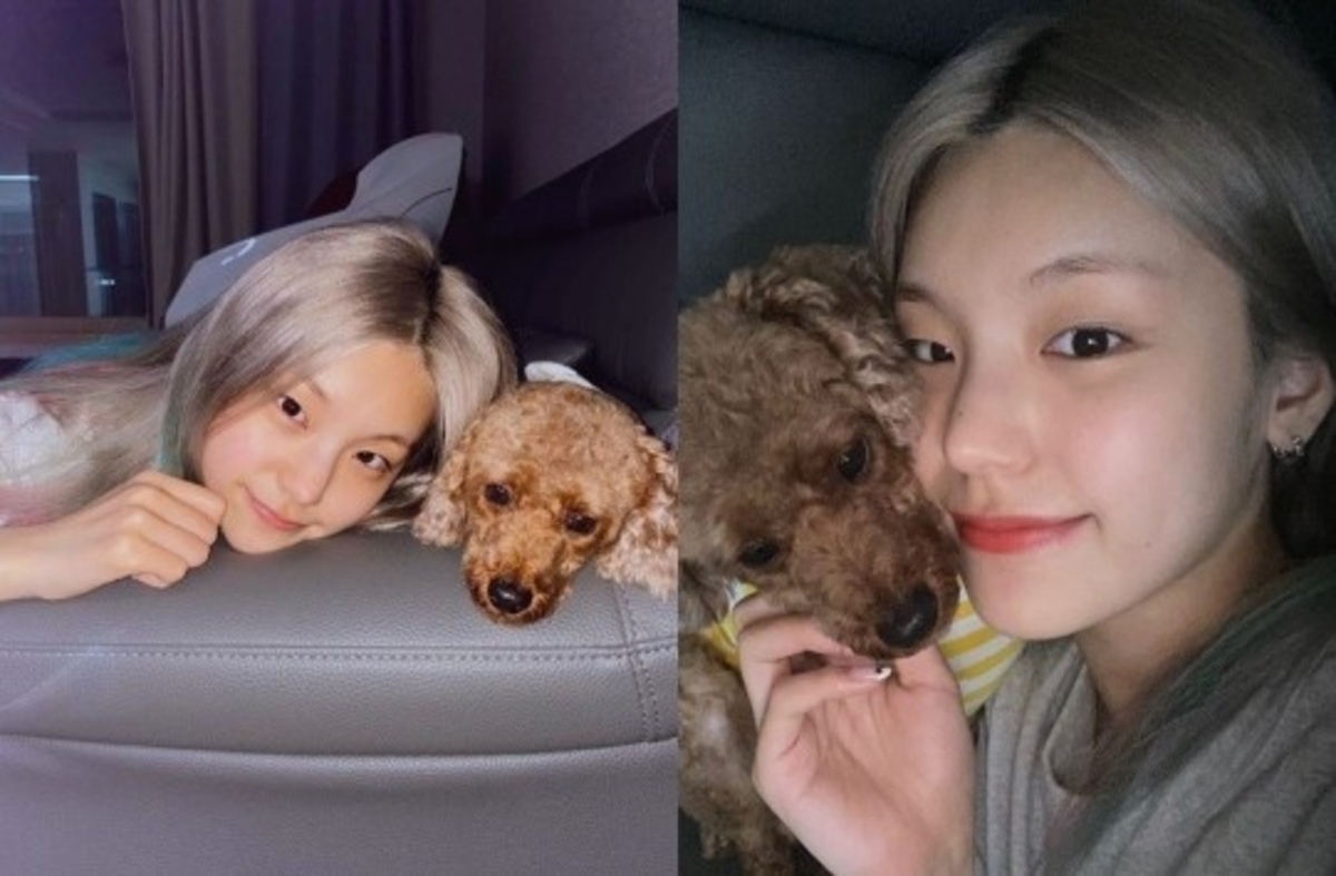 ITZYのイェジとスキズのヒョンジンの関係は？兄弟という噂を徹底検証！