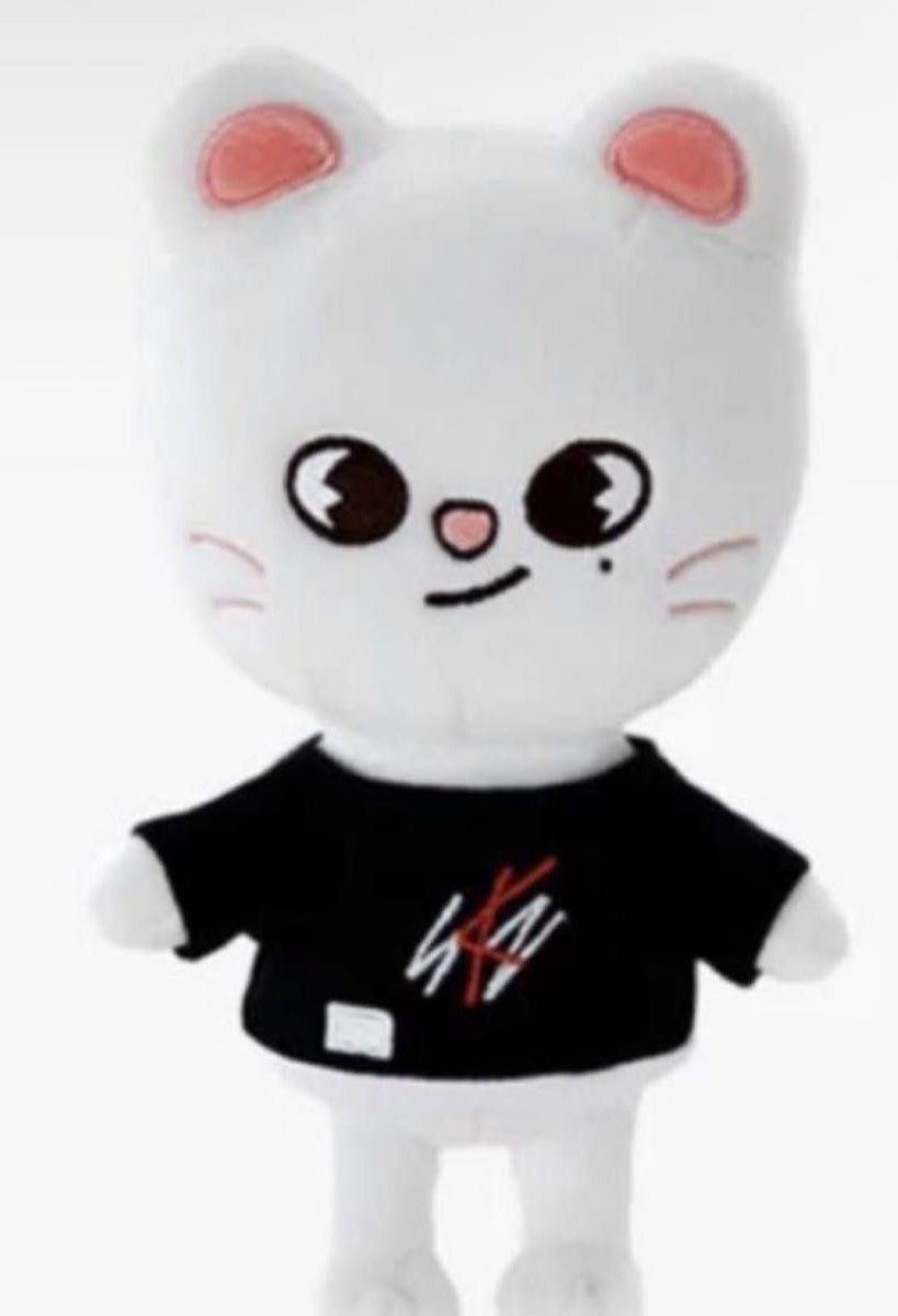 Stray Kids(スキズ)ヒョンジンの公式キャラクターはフェレット！話題のSKZOO調査してみた！