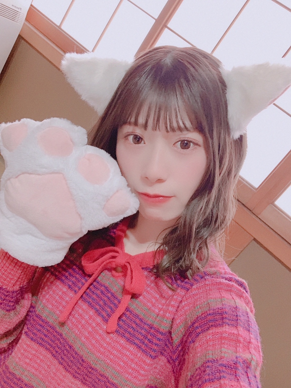 日向坂46所属東村芽依のあだ名は猫!その由来が面白いのでまとめてみた!