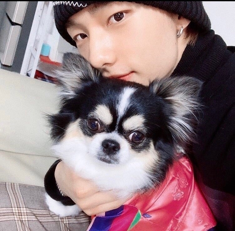 Stray Kids(スキズ)ヒョンジンの公式キャラクターはフェレット！話題のSKZOO調査してみた！