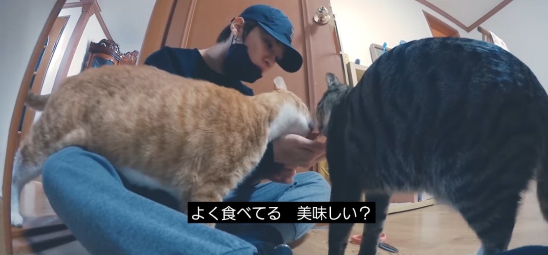 Stray Kids(スキズ)所属リノの兵役いつからなの？2025年からという噂はウソなのか？