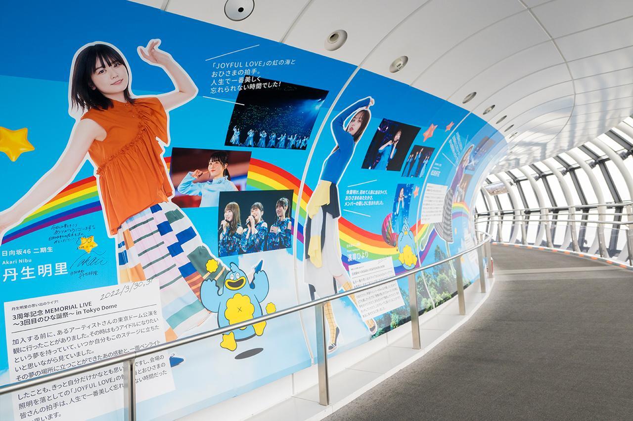 日向坂46がJR東海とコラボ！東海道新幹線車内限定コンテンツなどコラボ内容を調べてみた！