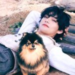 BTS(防弾少年団)のVと愛犬ヨンタンとの絆!先日亡くなったという悲しい発表についても…