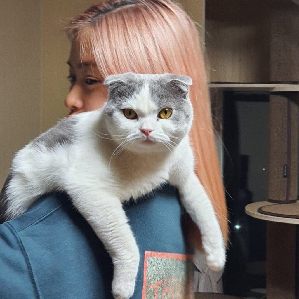 ITZY(イッチ)のリュジンのあだ名はリュッテン！ユニット名テントンとの関係性は？