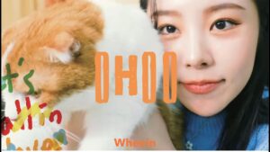 MAMAMOOのフィインが飼ってる猫コモが気になる！愛が強すぎてあだ名にまで影響？！