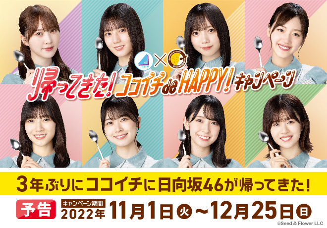 日向坂46とCoCo壱番屋がコラボスタート!メニューやファンの反応を調べてみた。