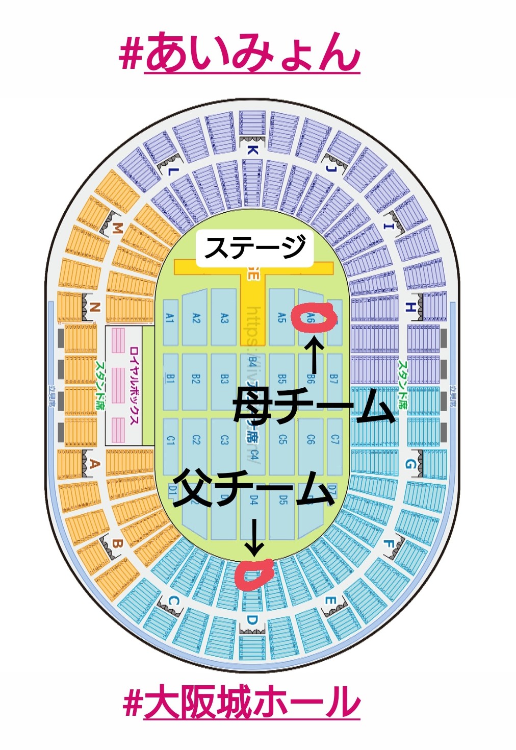 あいみょんのライブチケットは電子チケット！？購入方法から入場まで解説してみた