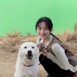 乃木坂46の川﨑桜がソフトバンクのCMに登場!どんな内容?