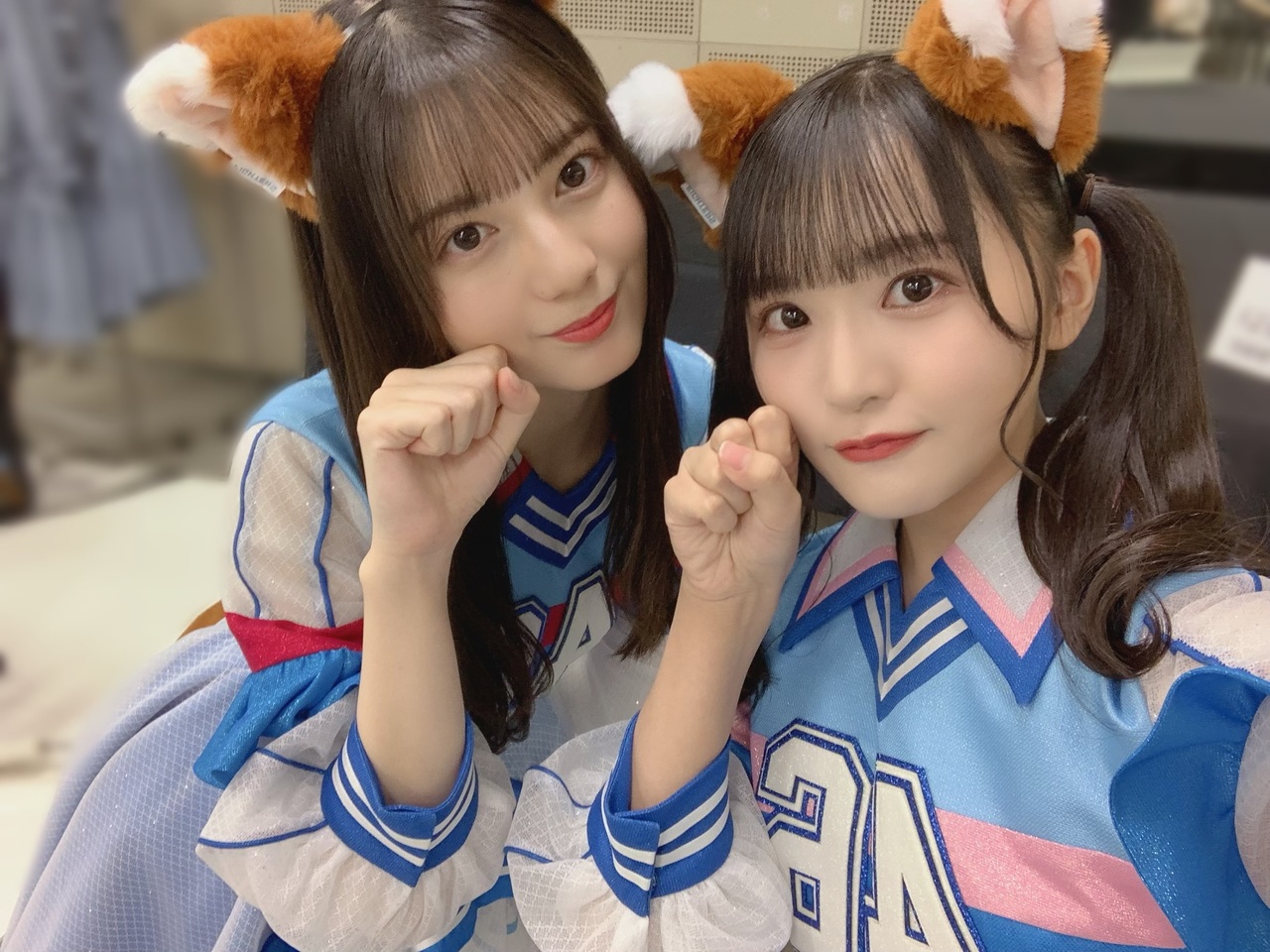 元日向坂46の高瀬愛奈が猫関連の資格を複数取得！どんな資格か調べてみた。