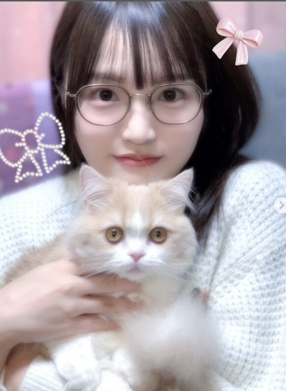 元日向坂46の高瀬愛奈が猫関連の資格を複数取得！どんな資格か調べてみた。