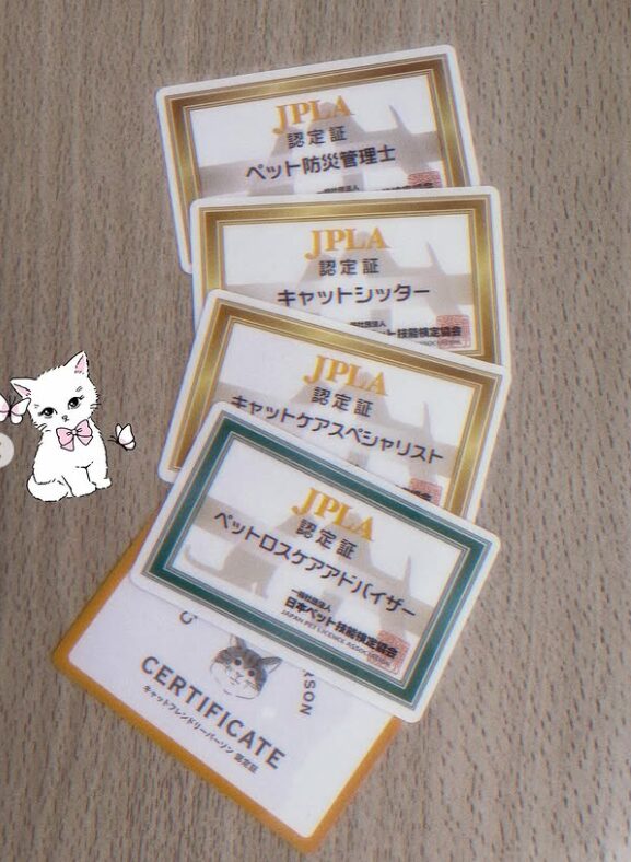 元日向坂46の高瀬愛奈が猫関連の資格を複数取得！どんな資格か調べてみた。