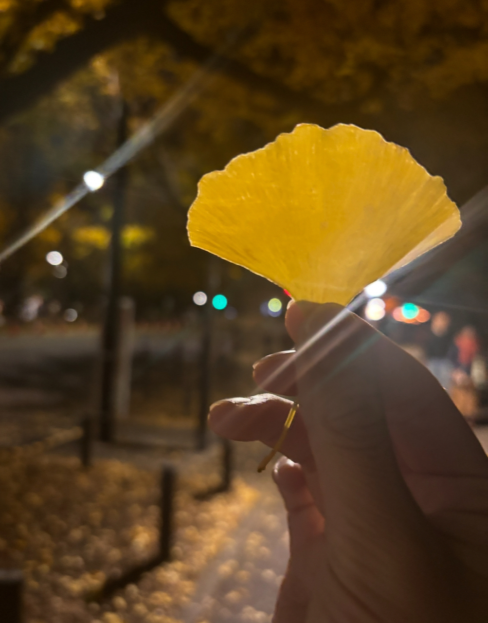 乃木坂46の五百城茉央が40thシングルで初の選抜落ち!ブログで本音告白!