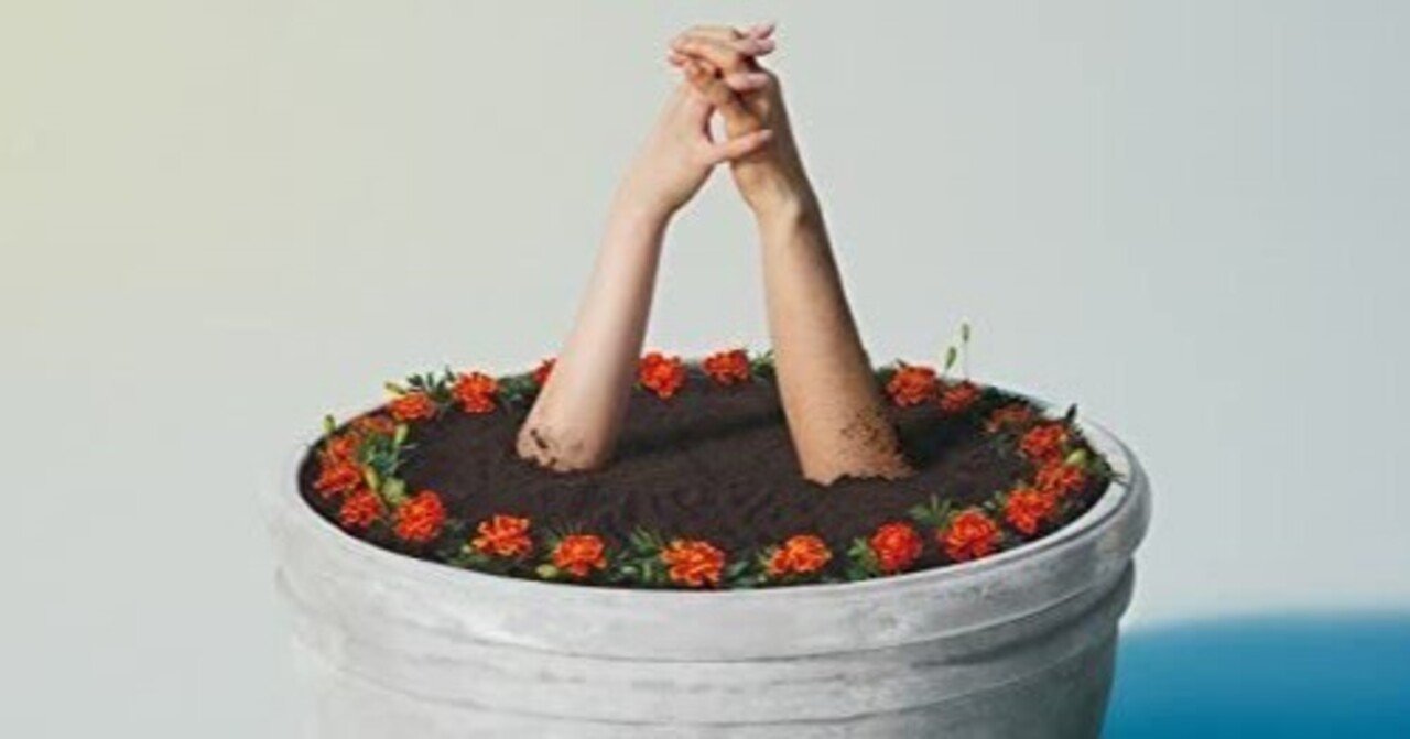 あいみょんのファン1,100人が選出した人気曲発表!気になるTOP3は?