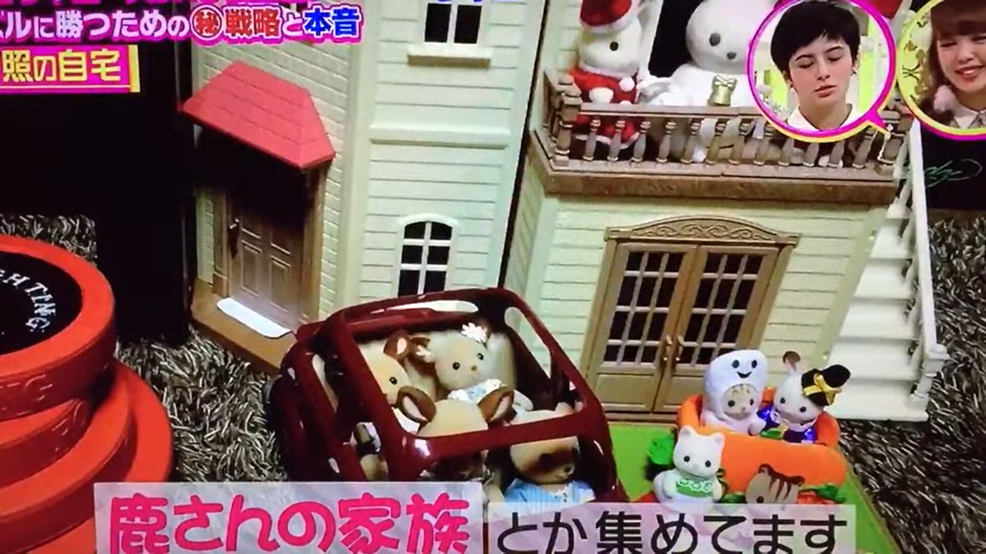 Snow Manの岩本照がシルバニアファミリー愛が凄い!佐久間大介も驚いたその内容とは!