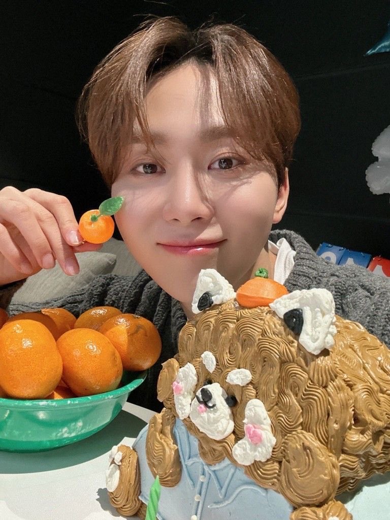 Stray KidsのリノがSEVENTEENのスングァンとのコラボダンス動画を公開！両方のファンの反応は？