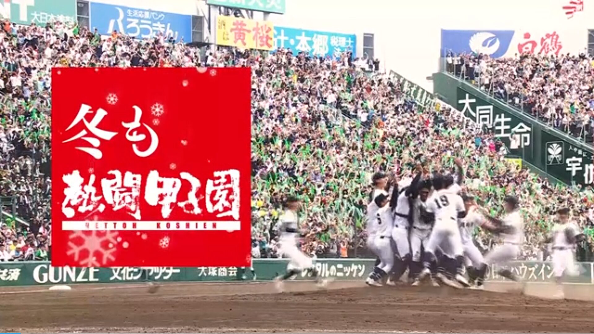 日向坂46の小坂菜緒と清水理央が熱闘甲子園の年末特番に登場！清水理央が市立船橋応援曲を語った！