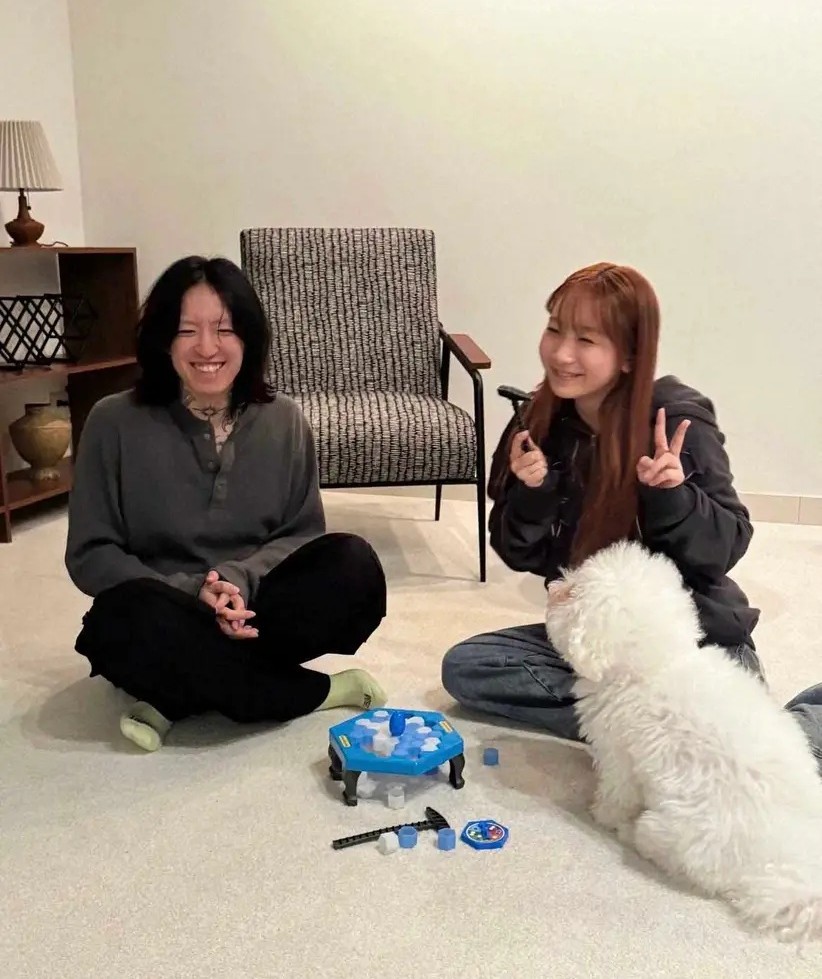 YOASOBIがイラストビジュアルをイラストレーターの清已に更新！ファンの反応は？