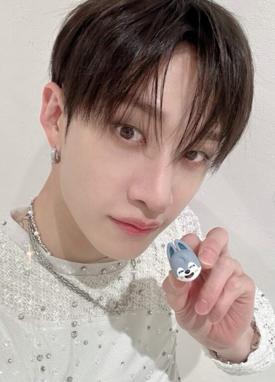 Stray Kidsの公式キャラクター「SKZOO」のチャームがお菓子売り場で買える？詳細を調べてみた！