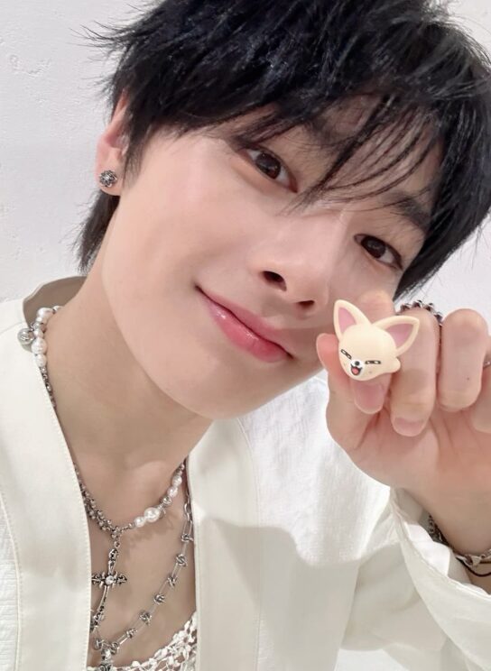 Stray Kidsの公式キャラクター「SKZOO」のチャームがお菓子売り場で買える？詳細を調べてみた！