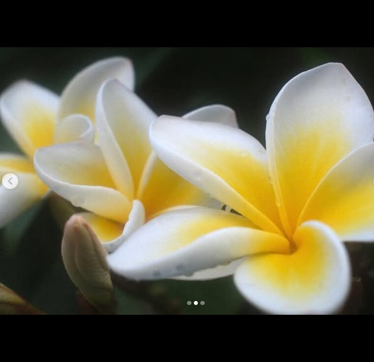 Stray Kidsのバンチャンがインスタに投稿した海辺での筋肉が凄すぎる！