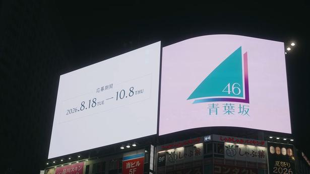 乃木坂46の新姉妹グループ「青葉坂46」は1年限定!その後は乃木坂46、櫻坂46、日向坂46へ!